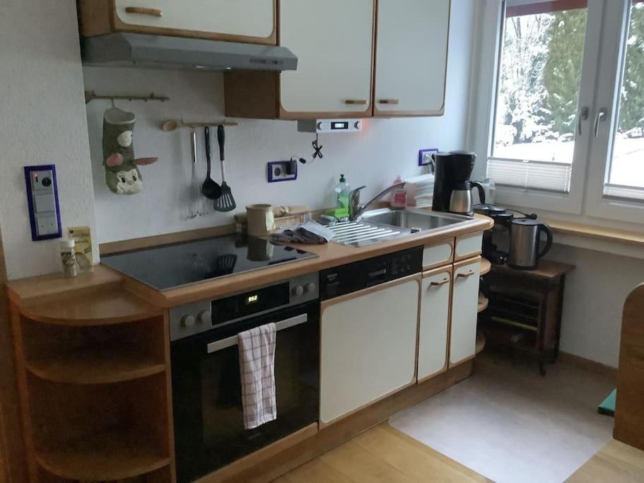 Ferienwohnung Apartment Doppelzimmer In Der Villa Naturpark Rheinblick, Ruhig, Aussicht, Pool Koblenz  Exterior foto
