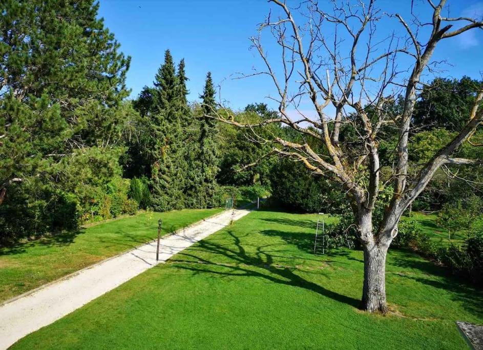 Ferienwohnung Apartment Doppelzimmer In Der Villa Naturpark Rheinblick, Ruhig, Aussicht, Pool Koblenz  Exterior foto
